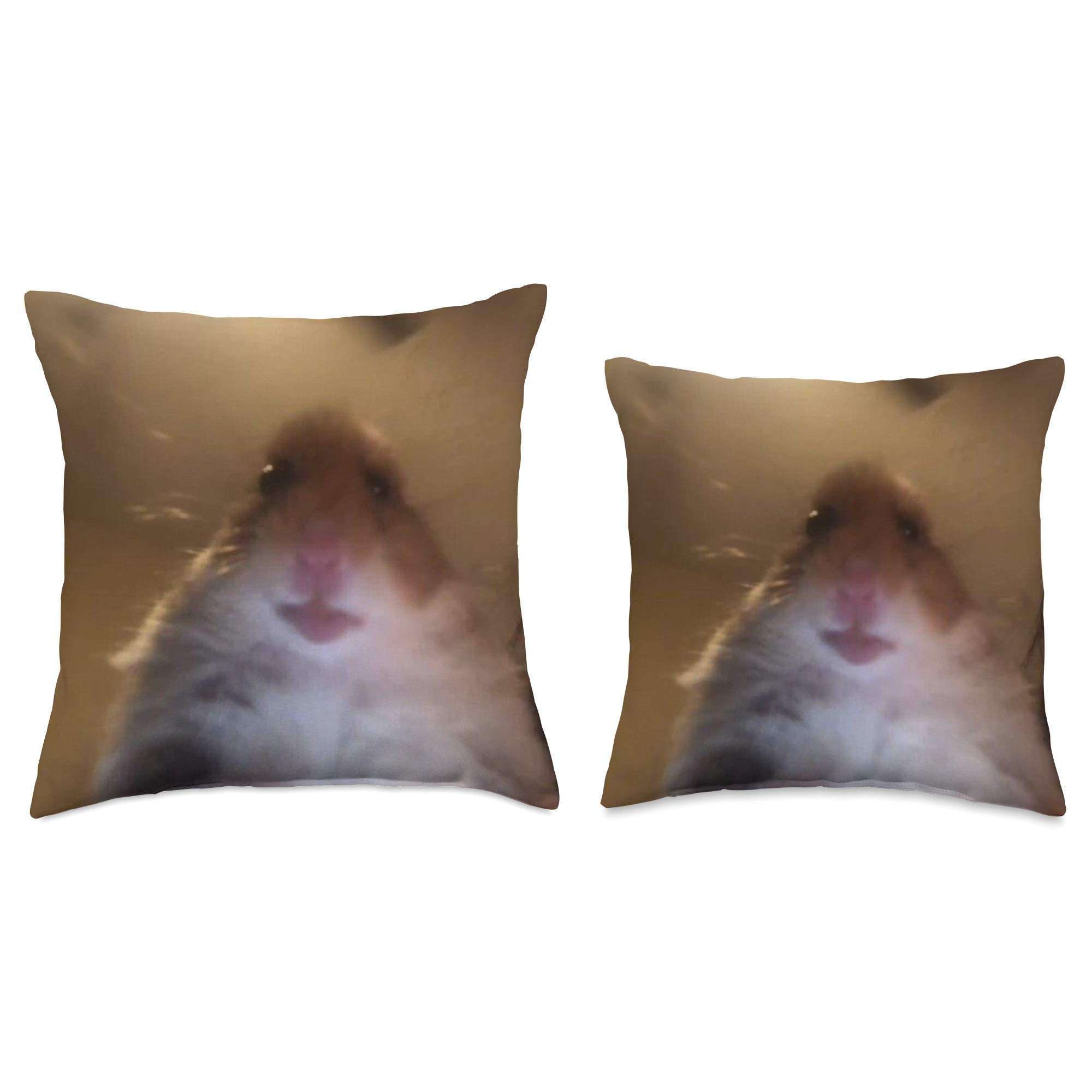 Staring Hamster Meme Throw Pillow - Funny Cute Hamster Design, Soft Decorative Cushion for Living Room, Bedroom, or Office