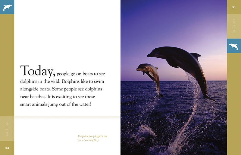 Dolphins Book 9781640262027 - Marine Life Educational Guide for Kids & Adults - Perfect for School Projects & Ocean Enthusiasts