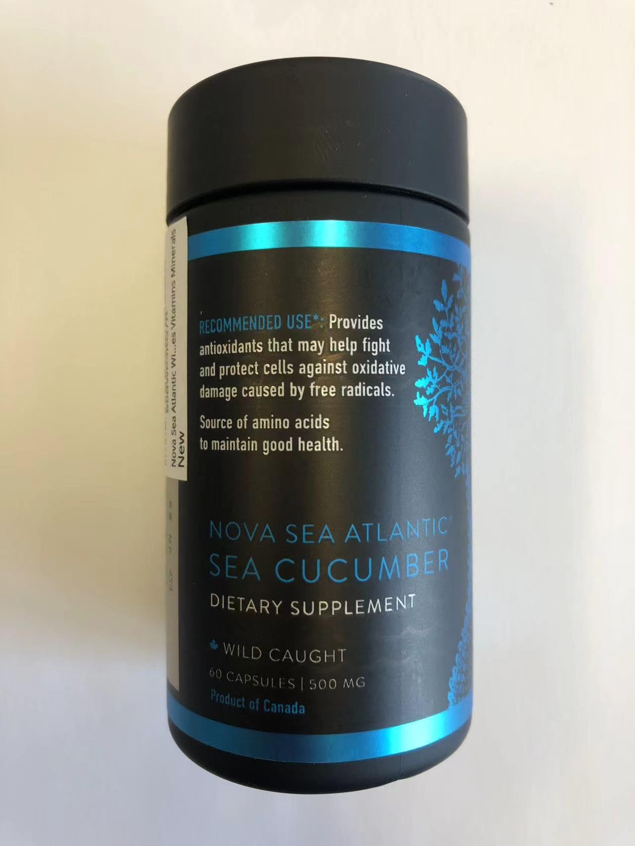 Premium Wild Sea Cucumber Supplement Capsules - Rich in Fucosylated Chondroitin Sulfate, Collagen & Antioxidants - Supports Energy, Immunity & Joint Health - Natural Source of Glycosides, Vitamins & Minerals - Ideal for Athletes, Busy Professionals & Health-Conscious Individuals