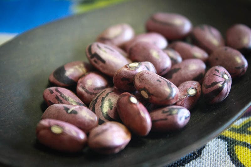 Rancho Gordo Rio Zape Beans 1 lb - Organic Heirloom Mexican Beans for Cooking, Soups & Stews - Perfect for Slow Cooker, Chili & Authentic Mexican Recipes