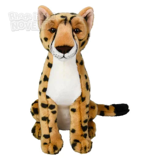 15 Heirloom Cheetah Seeds - Premium Non-GMO Organic Seeds for Home Gardening | Grow Exotic Cheetah Print Flowers in Your Backyard, Garden, or Containers