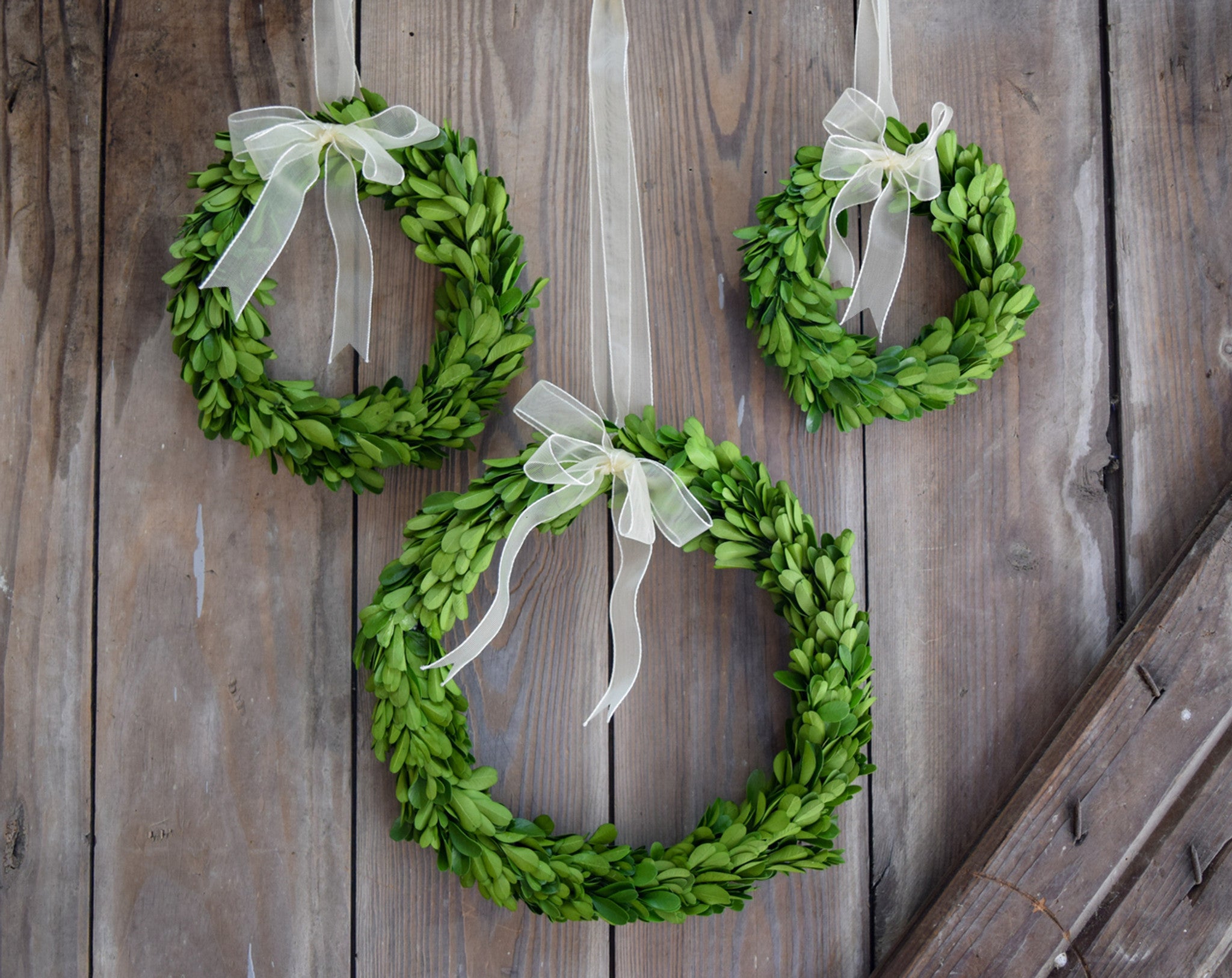 3 Piece Round Boxwood Wreath with Ribbon - Elegant Home Decor for Front Door, Wall & Holiday Decorating | Perfect for Christmas, Thanksgiving & Year-Round Display