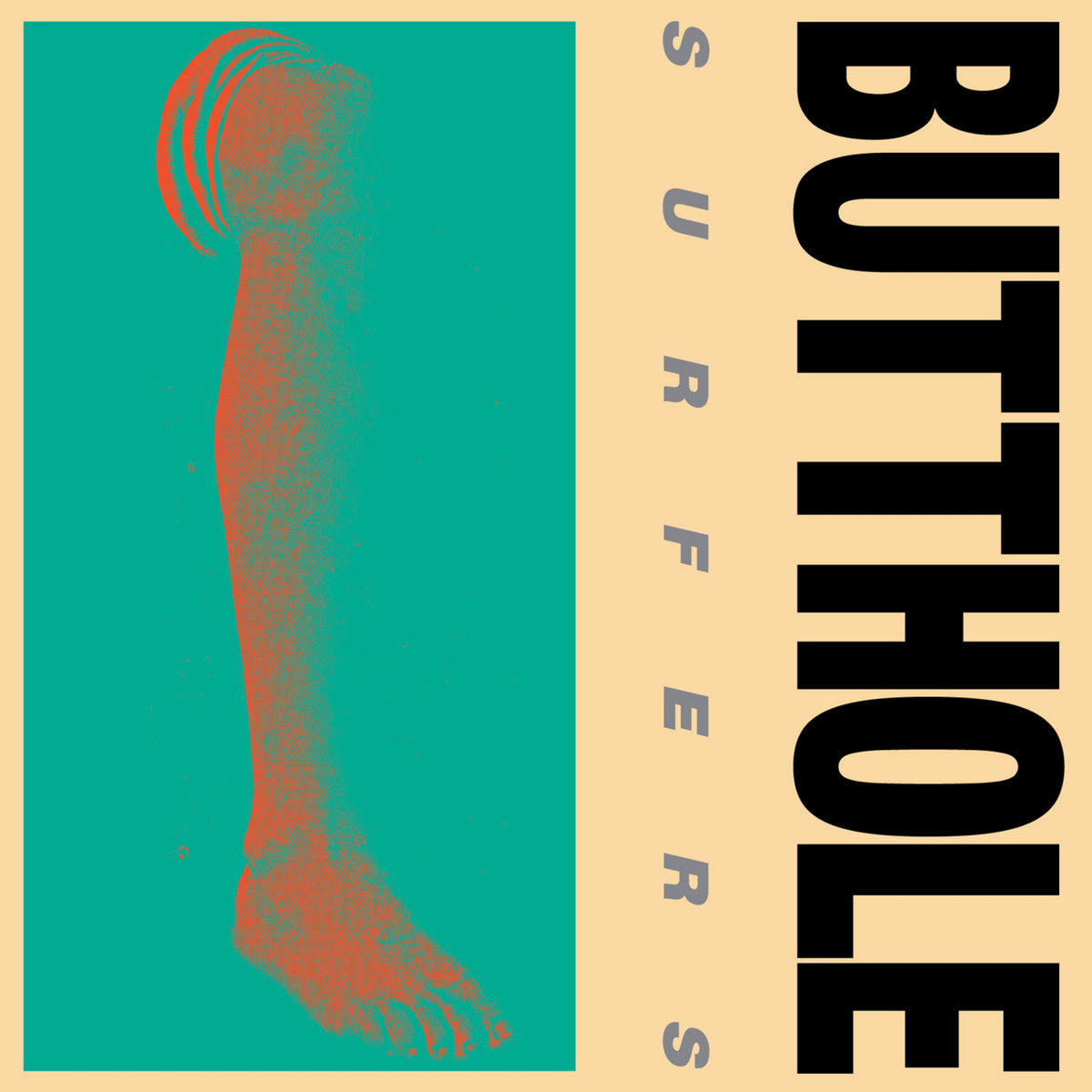 Butthole Surfers Rembrandt Pussyhorse Vinyl Record - Limited Edition Alternative Rock Music Album for Collectors & Music Lovers | Perfect for Home Listening, Gifts & Vinyl Collections