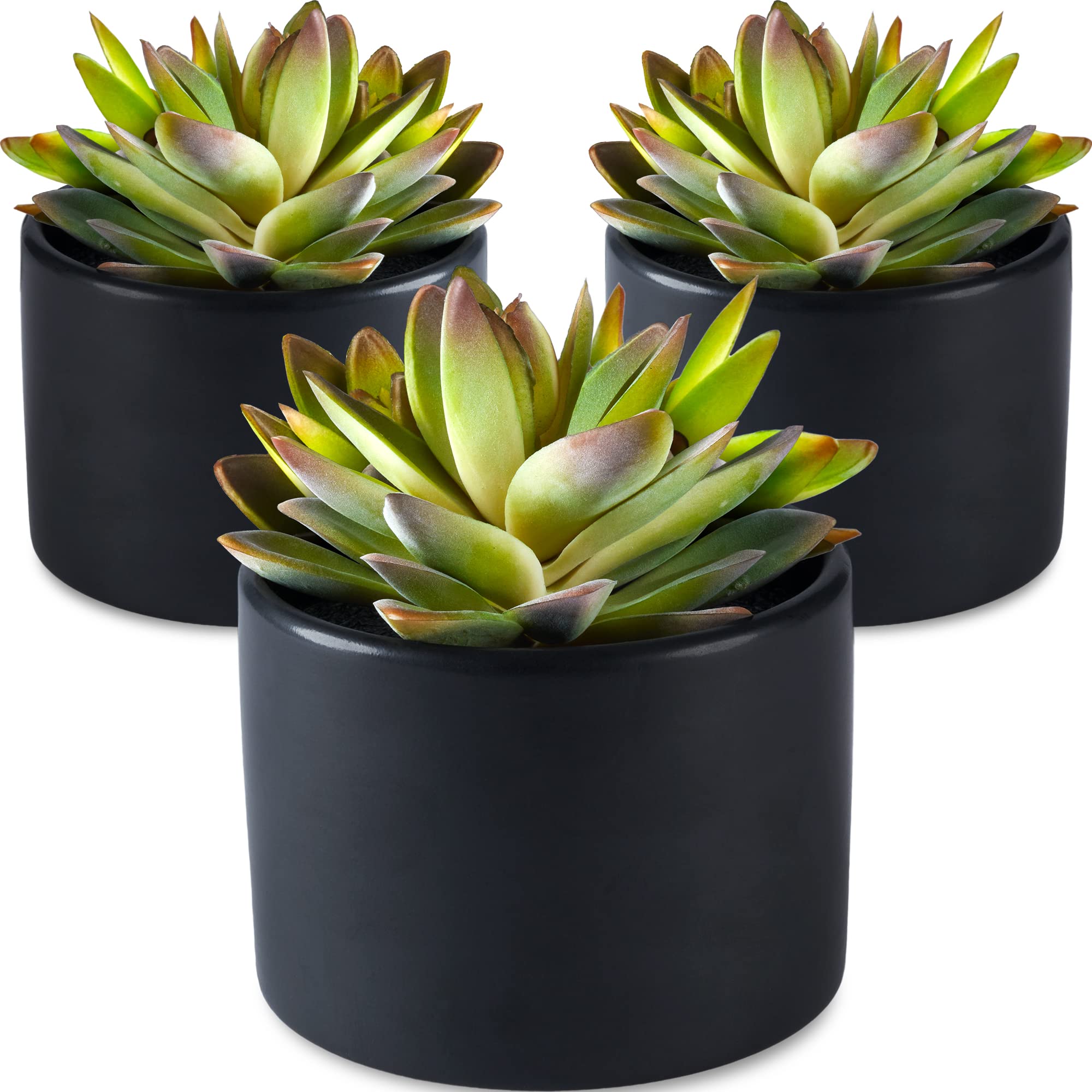 Realistic Artificial Succulents in Ceramic Pots - Set of 3 Fake Plants for Home Decor, Office Desk, Bathroom & Wedding Centerpieces | Modern Black Succulent Arrangement for Indoor Decorating