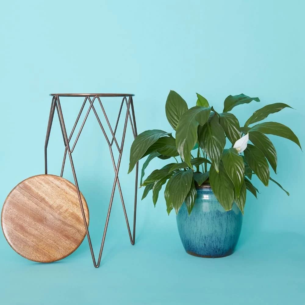 Vintage Recycled Iron Plant Stand with Wood Top - Tall Indoor/Outdoor Flower Pot Holder for Home Garden, Patio, and Balcony Decor