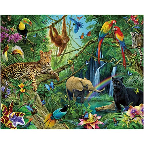 rain forest #2191