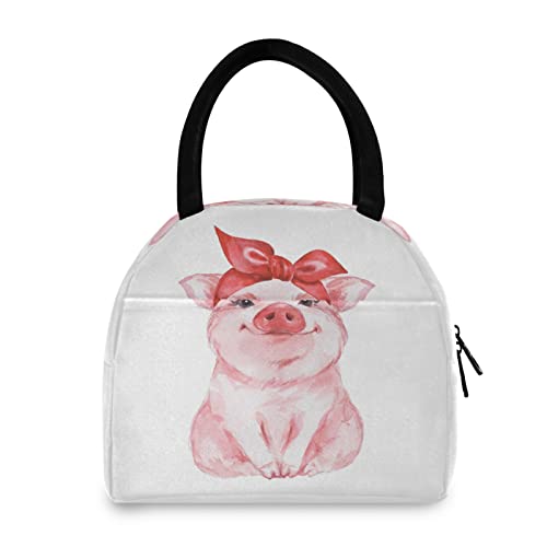 Cute Pig