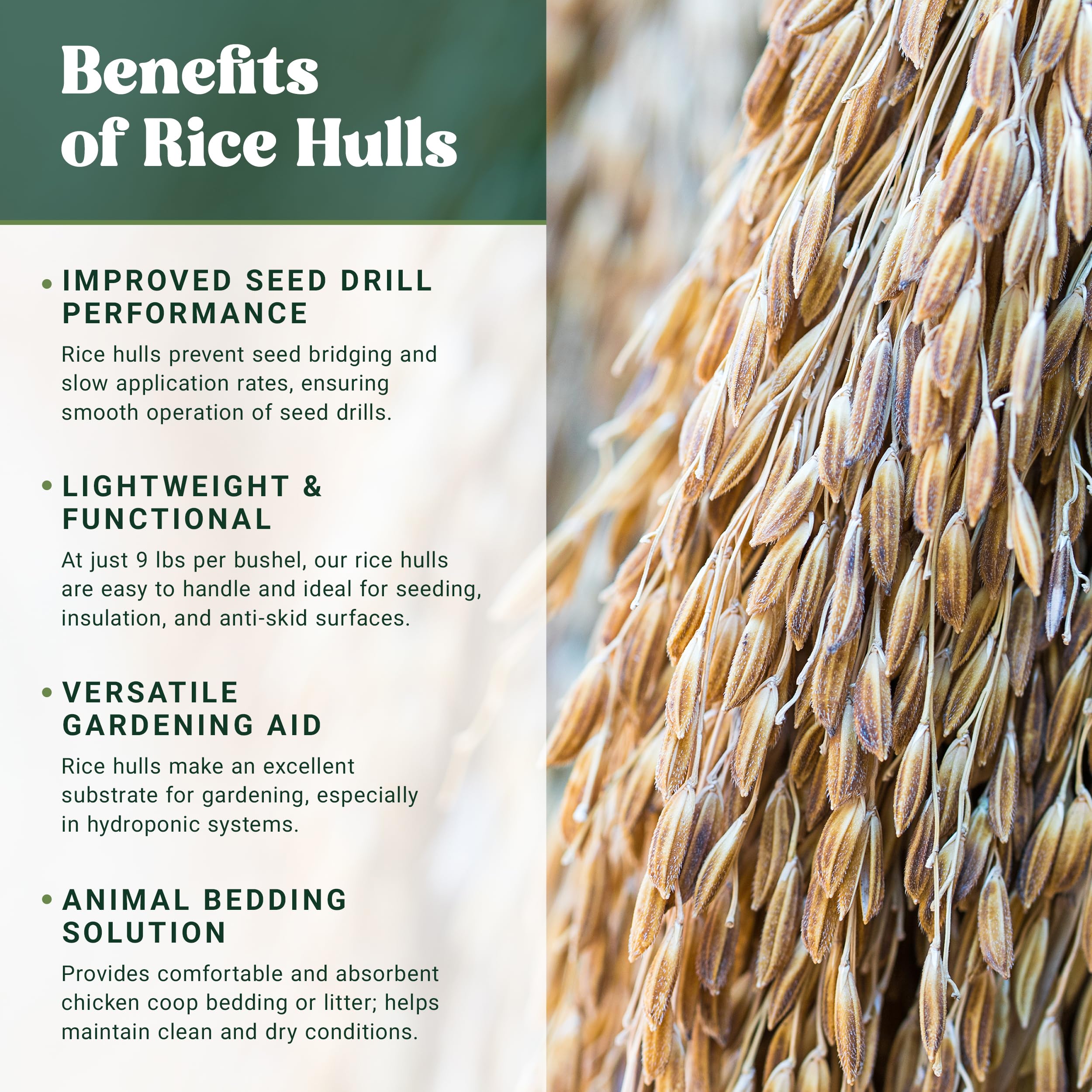 Organic Rice Hulls for Gardening, Plants & Chicken Coop Bedding - 45 Lbs Bulk | Natural Mulch, Soil Amendment & Poultry Litter | Perfect for Home Gardens, Hydroponics & Sustainable Farming