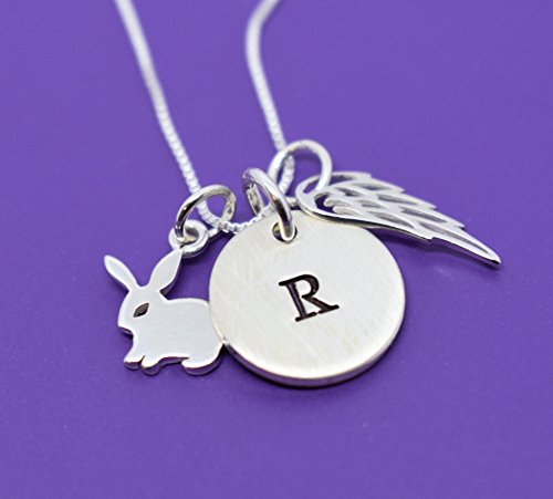 Personalized Pet Rabbit Memorial Necklace - Sympathy Gift for Pet Loss, Bunny Keepsake Jewelry with Tiny Charm - Perfect for Remembrance & Healing After Losing a Beloved Rabbit