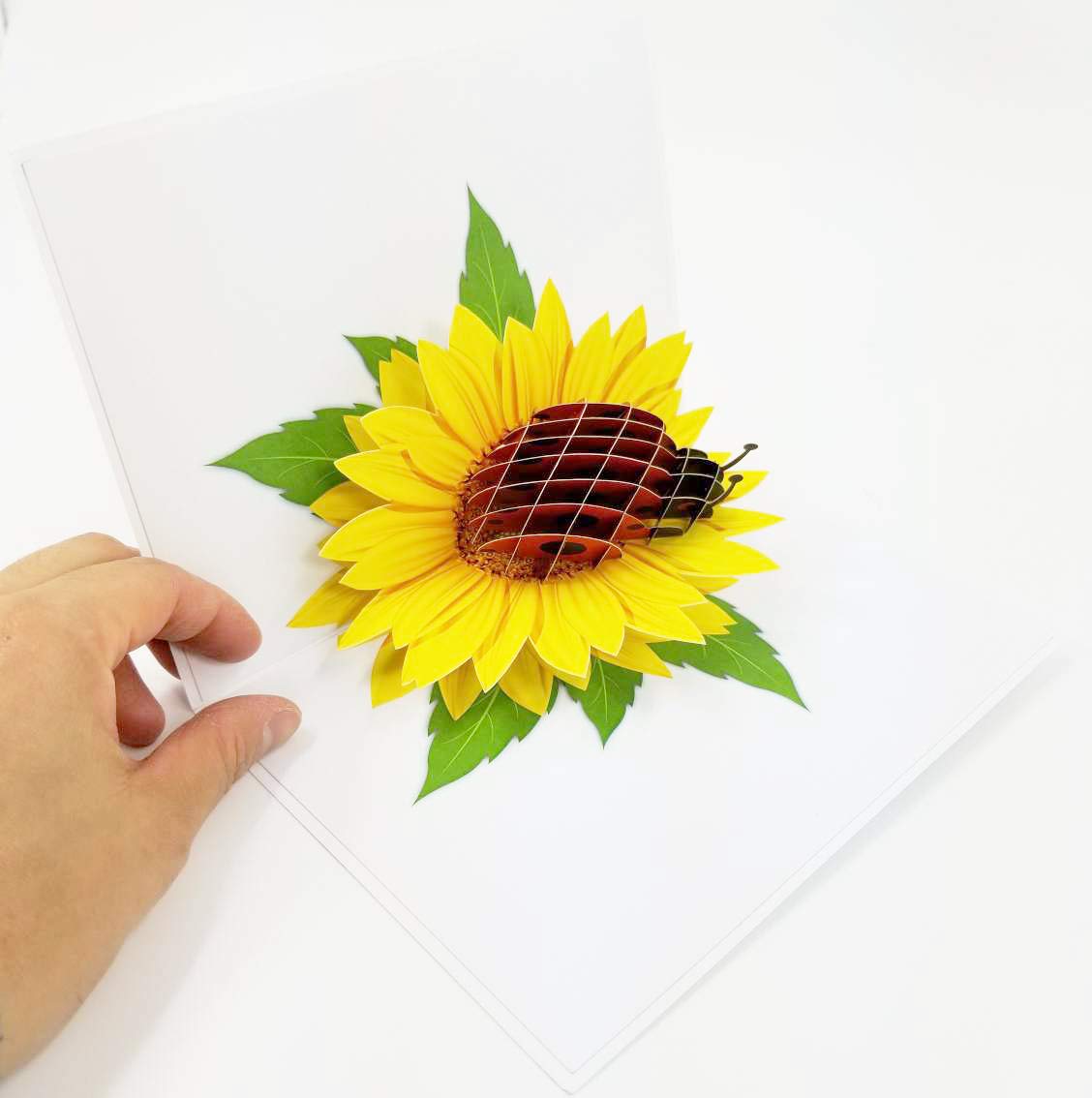 3D Ladybug Pop Up Greeting Card - Birthday Card for Kids, Mother's Day Gift, Just Because Card for Son or Daughter | Perfect for Birthday Parties, Classroom Celebrations & Special Occasions