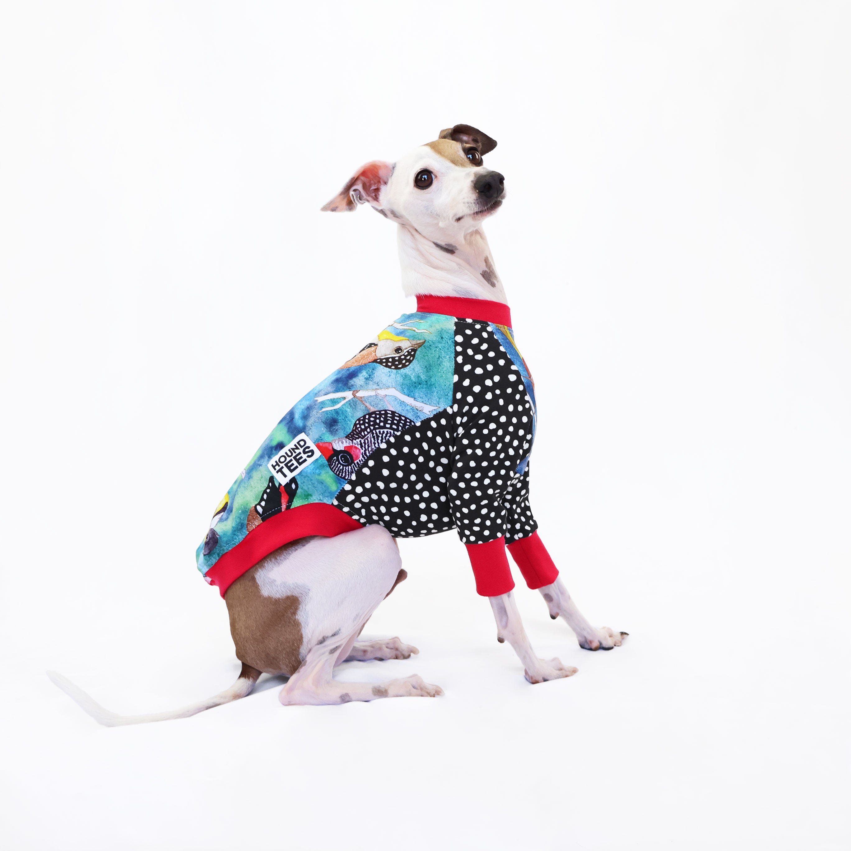 Birbs Italian Greyhound Long Sleeve Dog T-Shirt | Cute Greyhound Apparel for Small Dogs | Perfect for Walks, Pet Photos & Dog Lovers Gifts