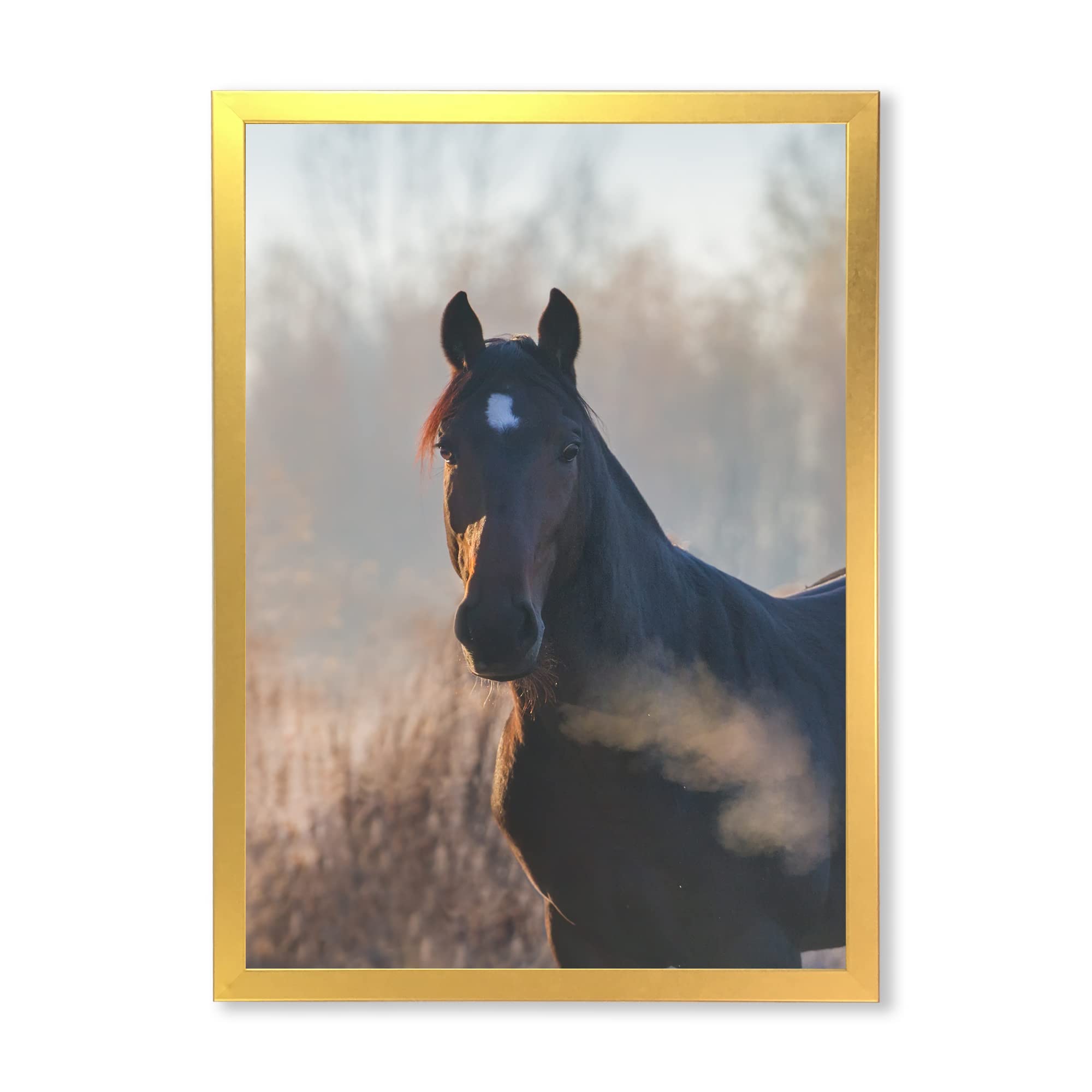 DesignQ Framed Horse Portrait Wall Art - Autumn Morning Farmhouse Decor for Living Room, Bedroom & Office