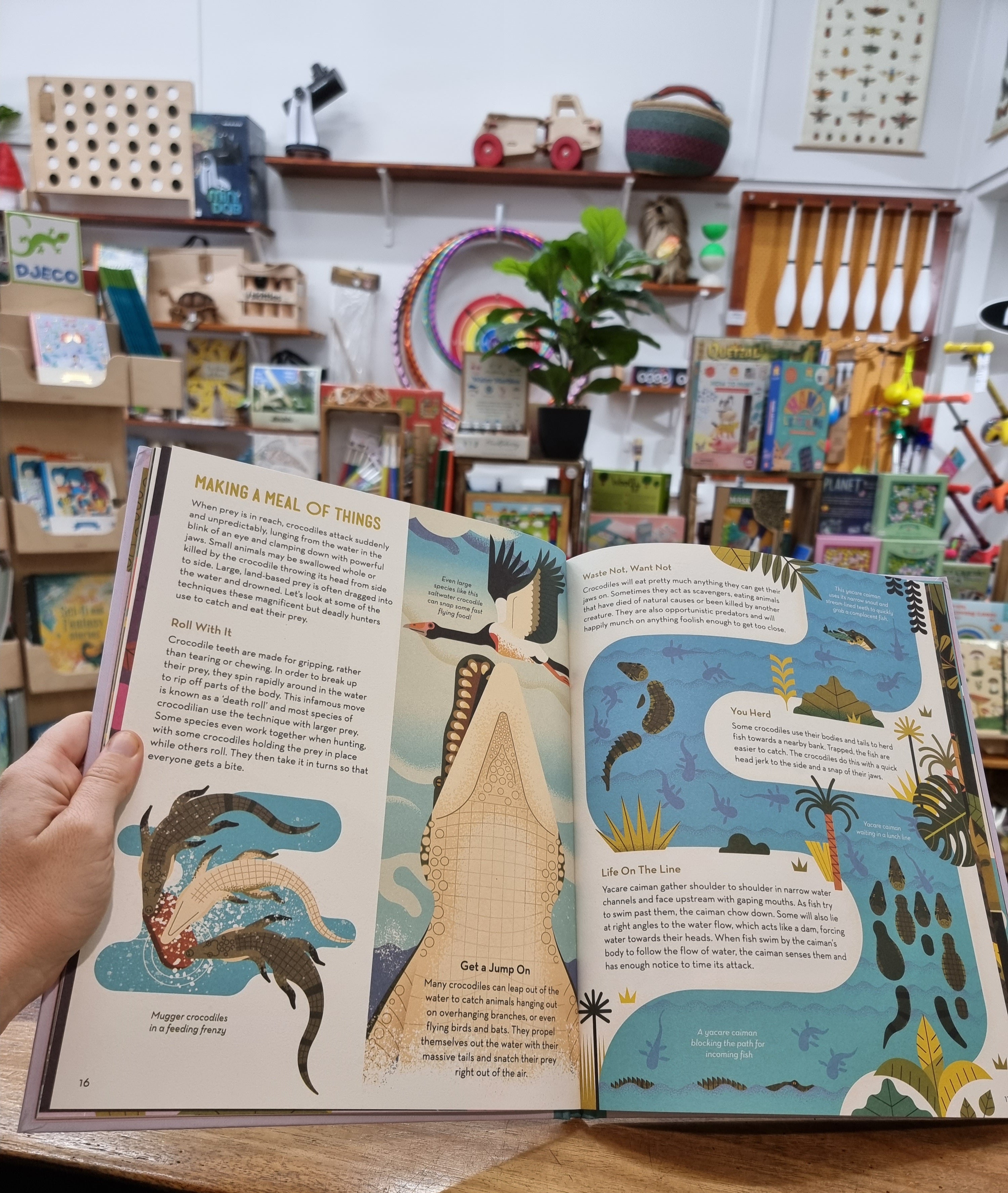 Curious About Crocodiles: Illustrated Animal Book for Kids by Owen Davey - Perfect for Bedtime Stories & Wildlife Education