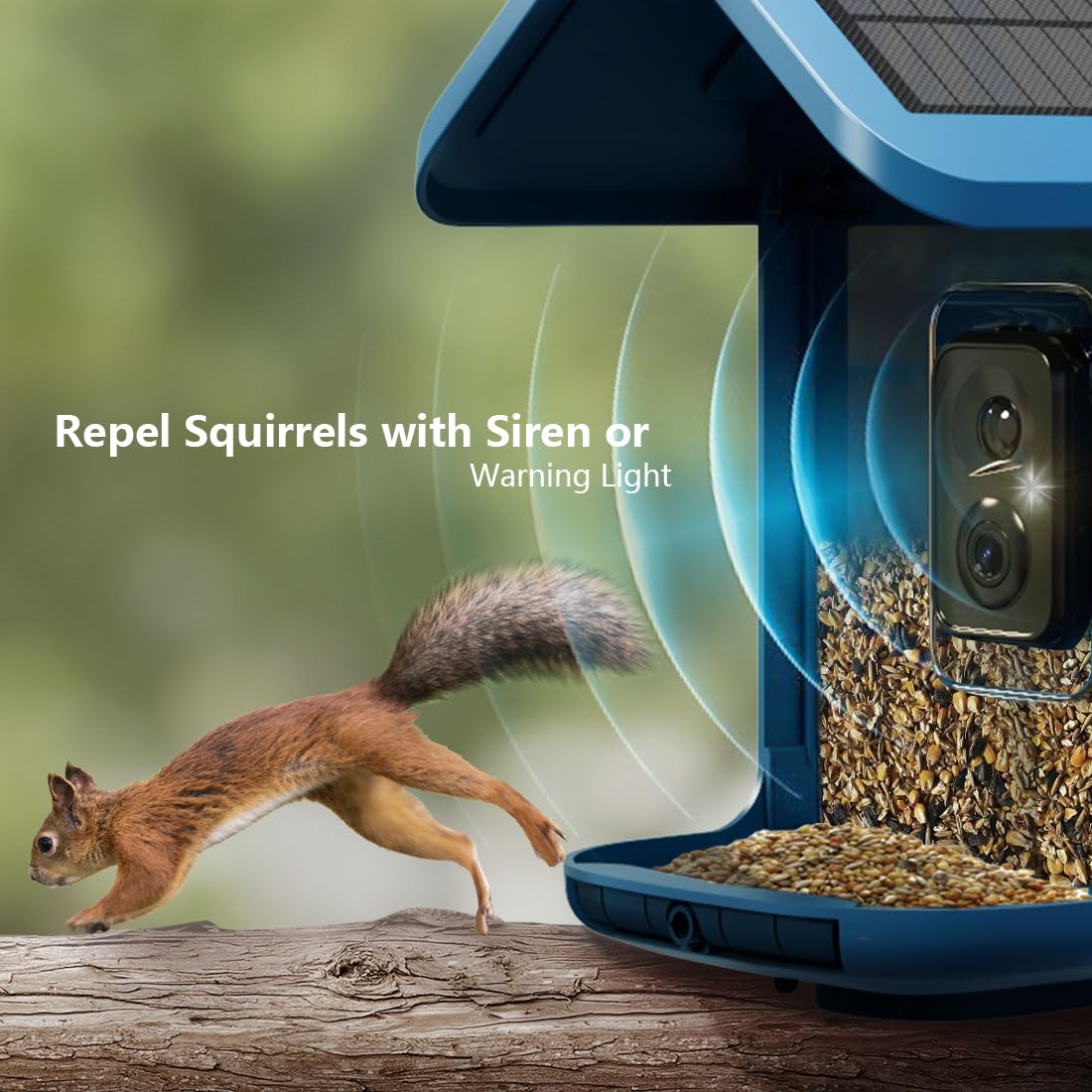 Solar Powered Smart Bird Feeder with 2K Camera - AI Bird Identification, Auto Video Capture, 2.4GHz WiFi, Live Streaming - Perfect Outdoor Backyard Gift for Bird Lovers (Great for Bird Watching & Nature Observation)