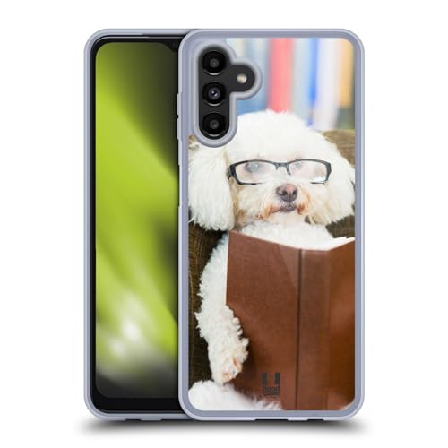 Reader Dog With Glasses