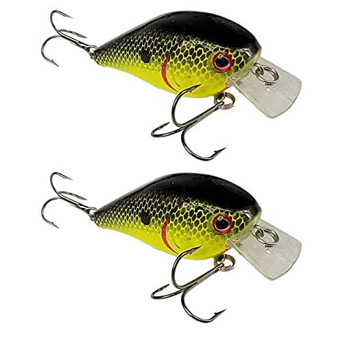 Chartreuse Black Back
