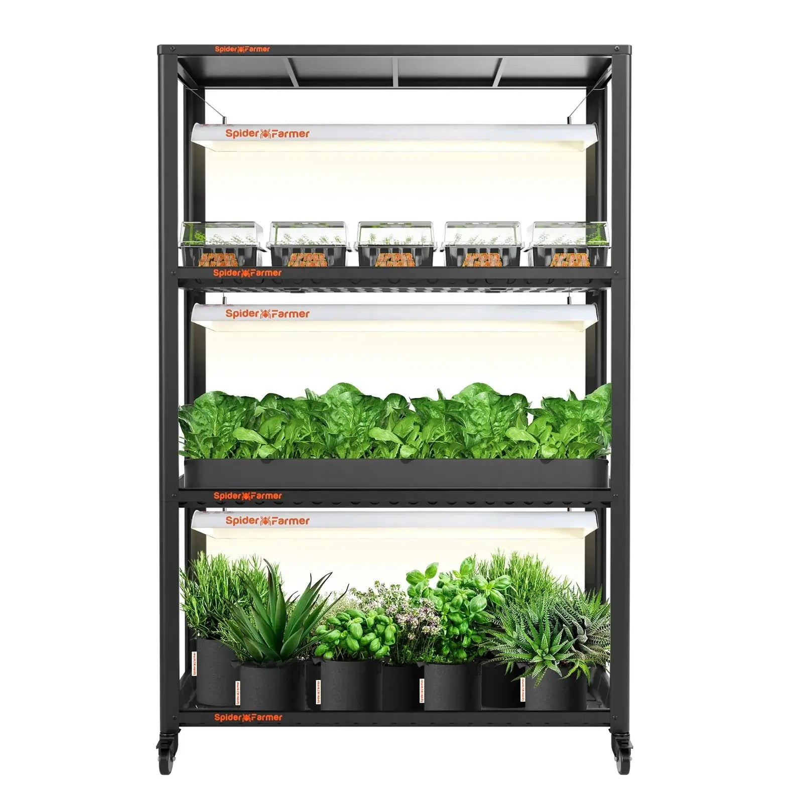 Spider Farmer SF600 LED Grow Light with Metal Plant Stand & Trays - Indoor Gardening Kit for Herbs, Vegetables & Flowers | Perfect for Hydroponics, Greenhouse & Home Grow Rooms