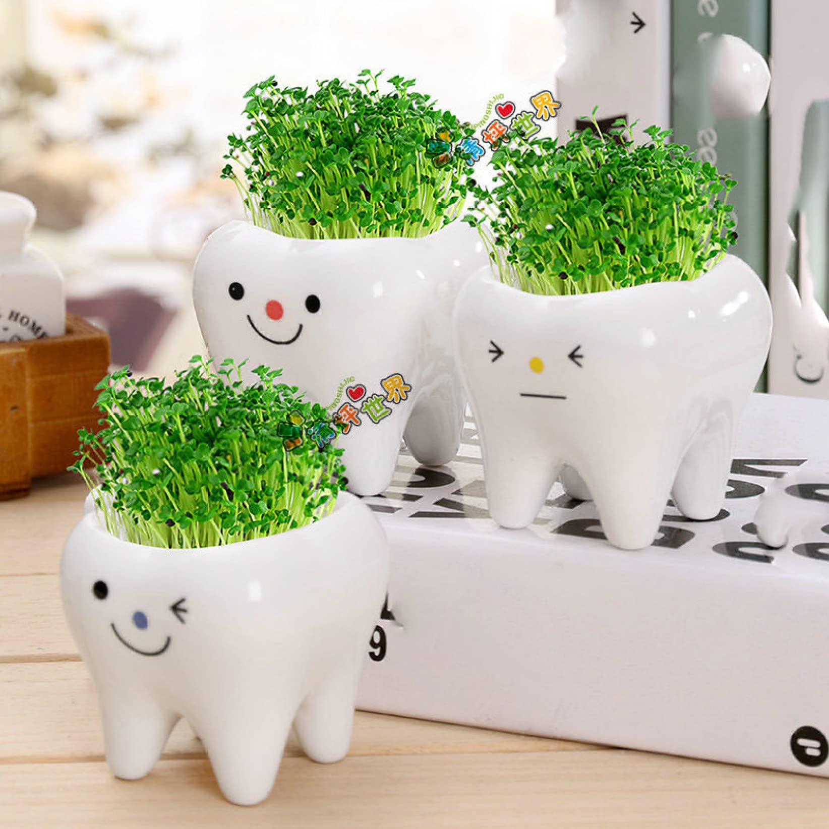Cute Tooth Pot Vase - Creative Ceramic Cartoon Planter for Succulents & Small Plants - Home Desktop & Balcony Decor - Perfect for Office, Living Room & Gift Giving