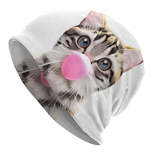 Animal Cute Cat
