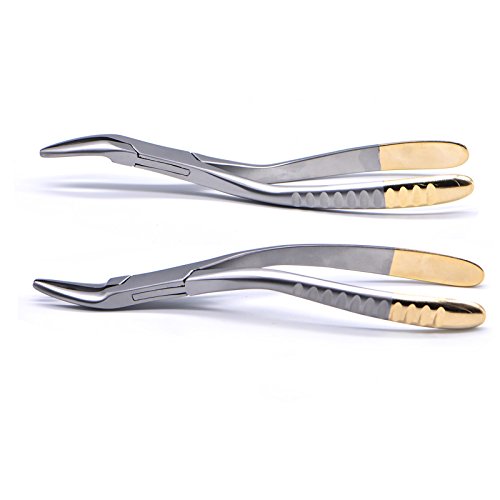 Dental Tooth Extraction Forceps for Root Fragment Removal - Minimally Invasive Curved Dental Instruments for Maxillary Teeth | Professional Oral Surgery Tools for Dentists & Dental Clinics