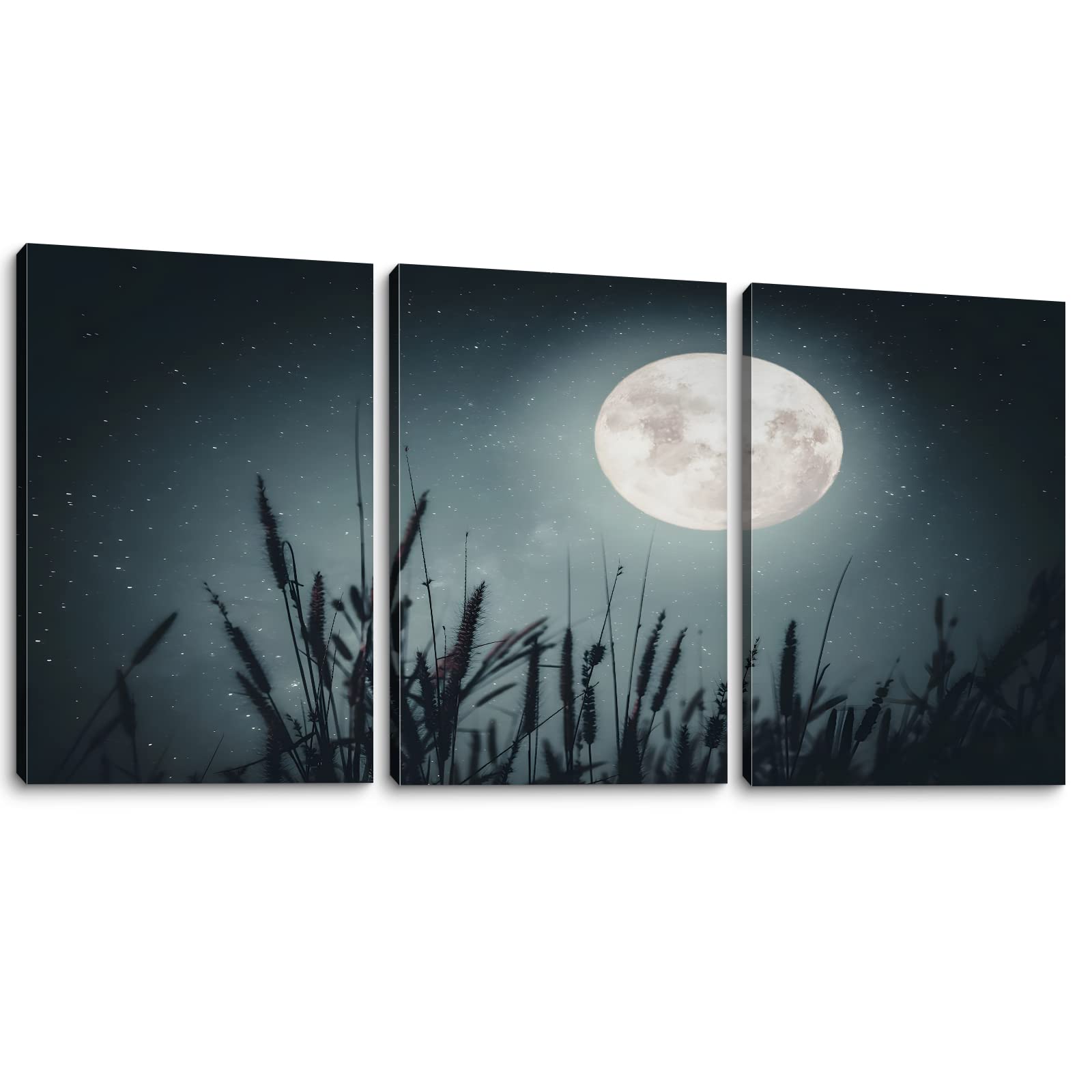 3-Piece Canvas Wall Art - Grassland Moon Landscape for Living Room & Bedroom