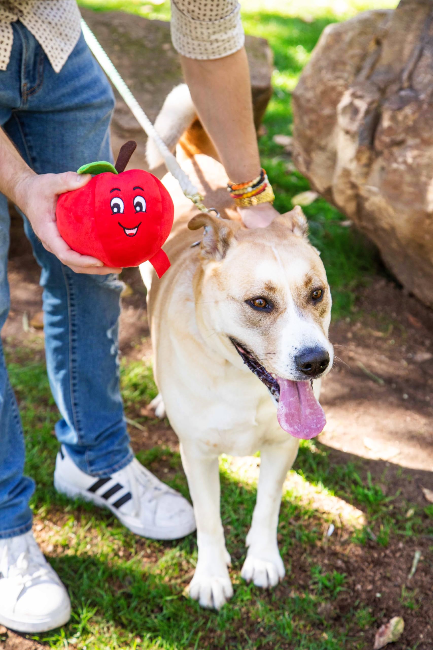 Tomato Shaped Plush Dog Toy with Squeaker for Medium & Large Dogs - Fun Chew Toy for Playtime, Training & Interactive Pet Games