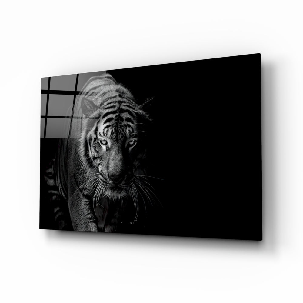 Black and White Tiger Print T-Shirt - Stylish Animal Graphic Tee for Men & Women - Perfect for Casual Wear, Street Fashion, and Wildlife Enthusiasts