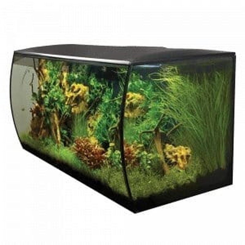 Fluval FLEX 32 Gallon Aquarium Kit - 123L All-in-One Fish Tank with LED Lighting & Filtration System - Perfect for Home, Office & Classroom Aquatic Displays