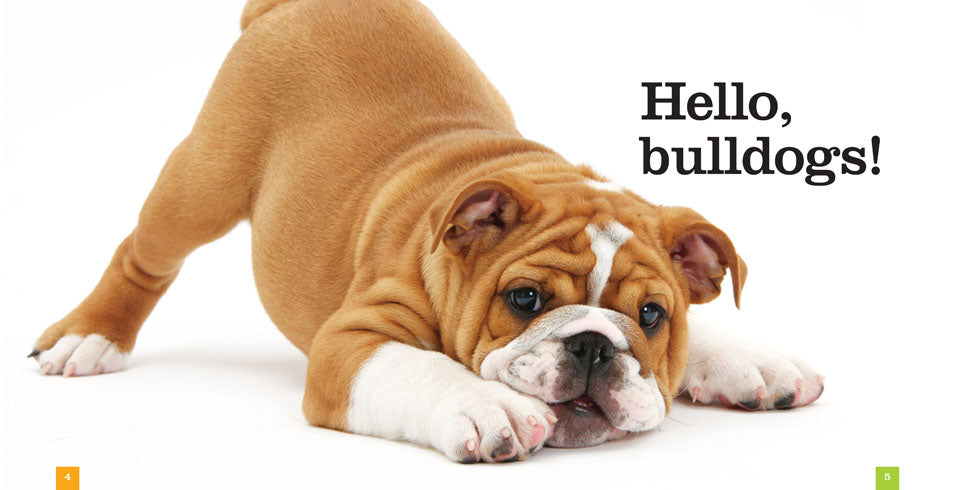 Bulldogs: The Ultimate Guide to Care, Training, and Breeding | Perfect for Bulldog Lovers & Owners | Home, Travel & Outdoor Activities