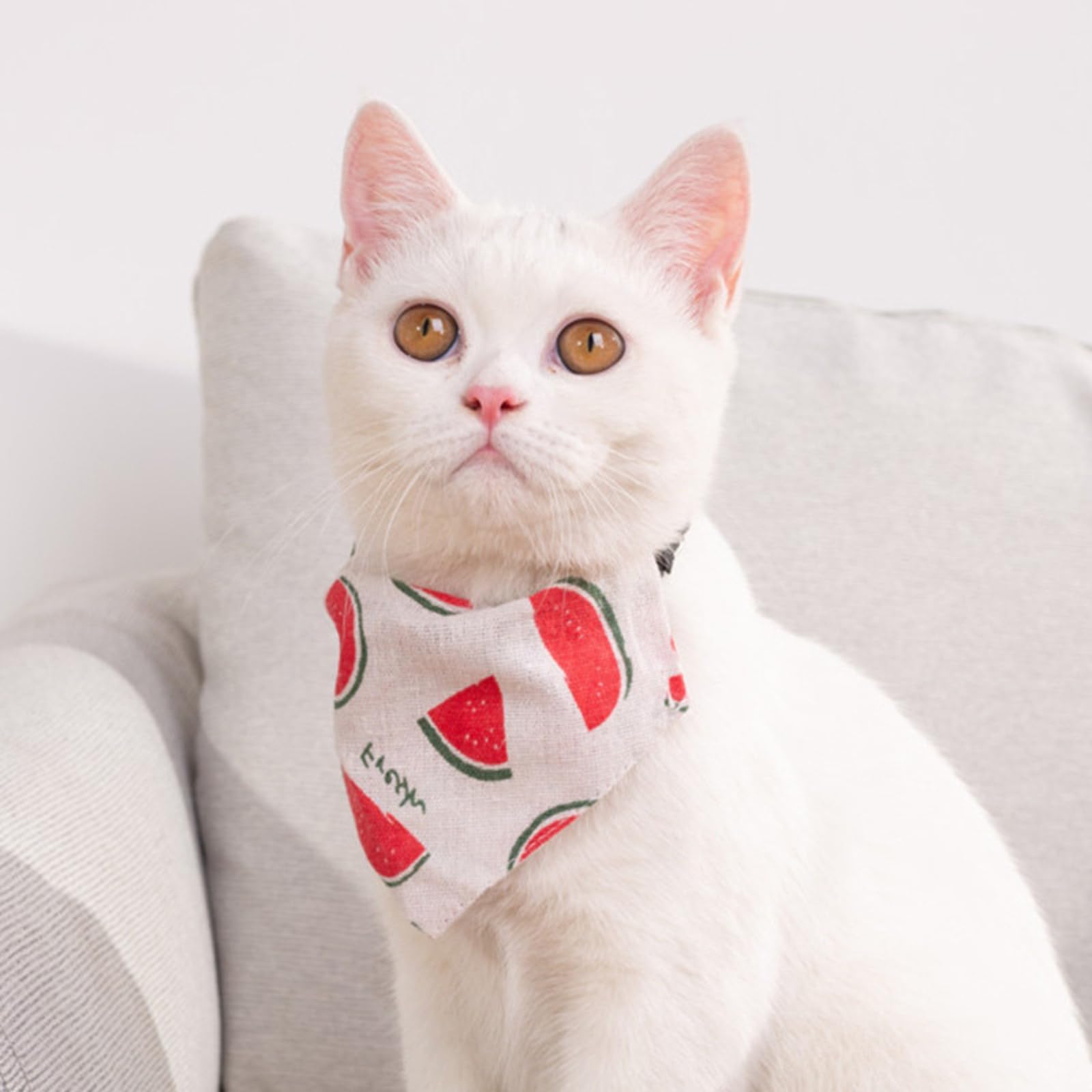 Emily Pets Adjustable Cute Dog Collar with Slobber Towel - Watermelon Print Medium Size for Puppies & Cats - Perfect for Outdoor Walks, Training & Grooming