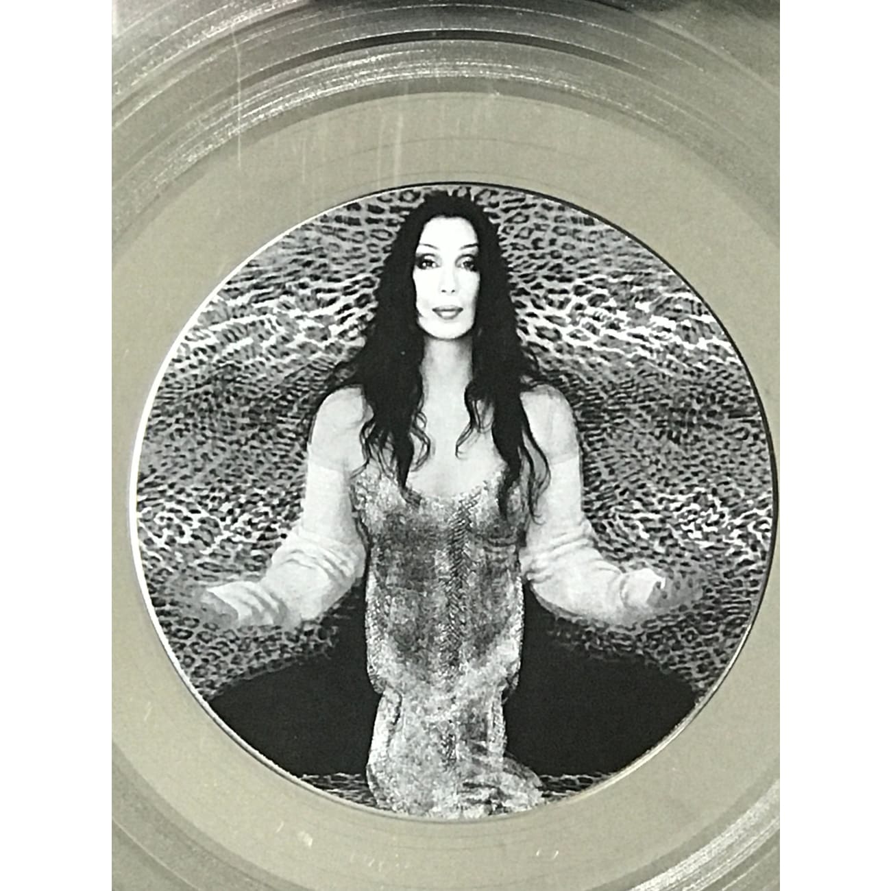 Cher Believe RIAA 3x Multi Platinum Album Award - Certified Music Collectible for Fans & Display (Perfect for Home Decor, Music Rooms & Collector Showcases)