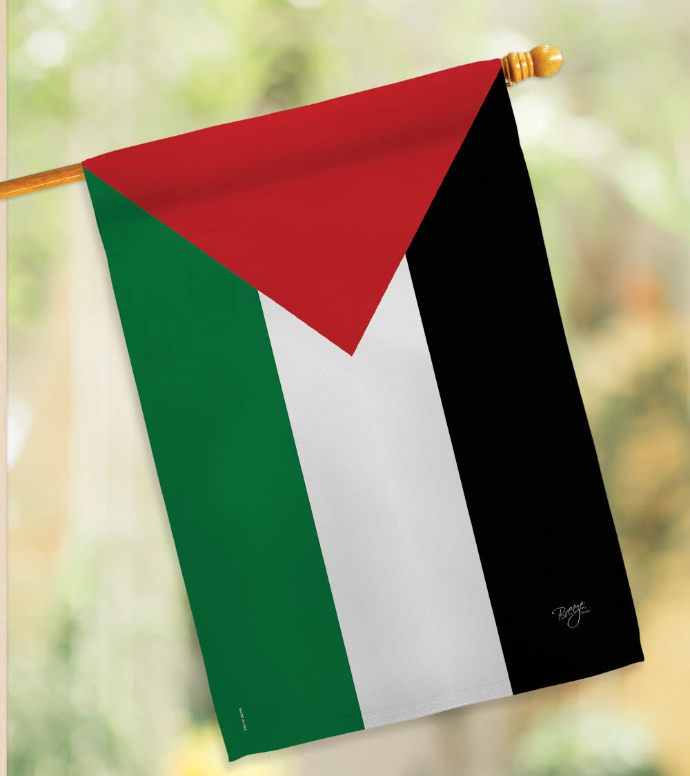 Palestine National Flag 28