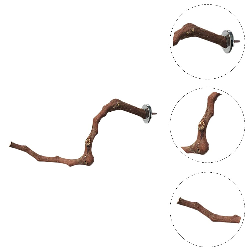 TEHAUX Natural Wood Bird Play Stand - Training Toy for Parrots, Budgies & Small Birds | Cage Accessories, Grape Wood Grinding Stick & Perch for Chewing & Playing | Perfect for Bird Exercise & Beak Trimming