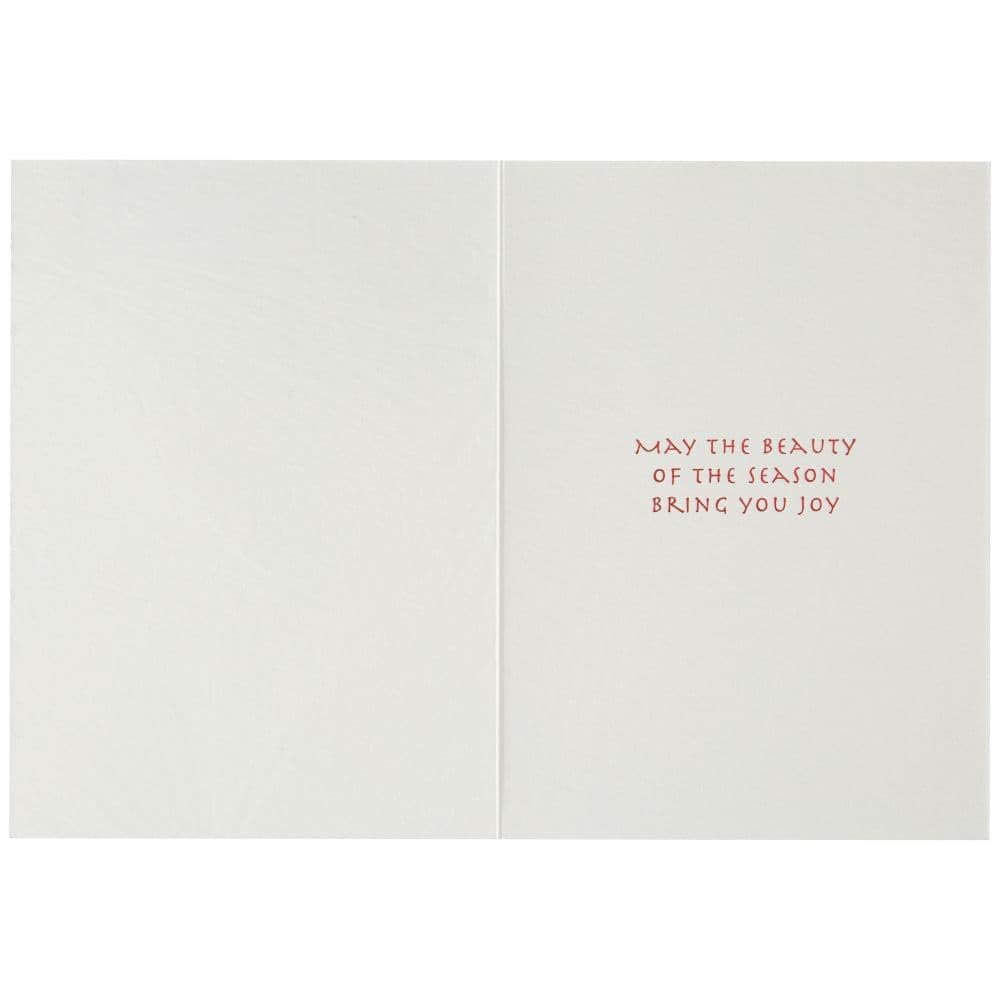 Silver Boughs Red Berries Christmas Greeting Cards - Elegant Holiday Cards for Family & Friends - Perfect for Christmas Wishes, Office Parties & Festive Decorations