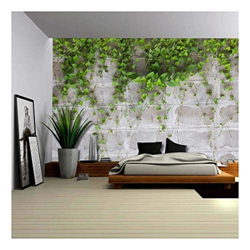 Green Vines Wrapping