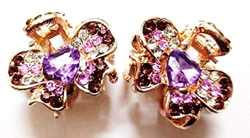 Go Traders - 2 Pairs Multicolor Metal Hair Clips for Women & Girls | Hair Clutch Accessories for Parties, Weddings & Everyday Styling