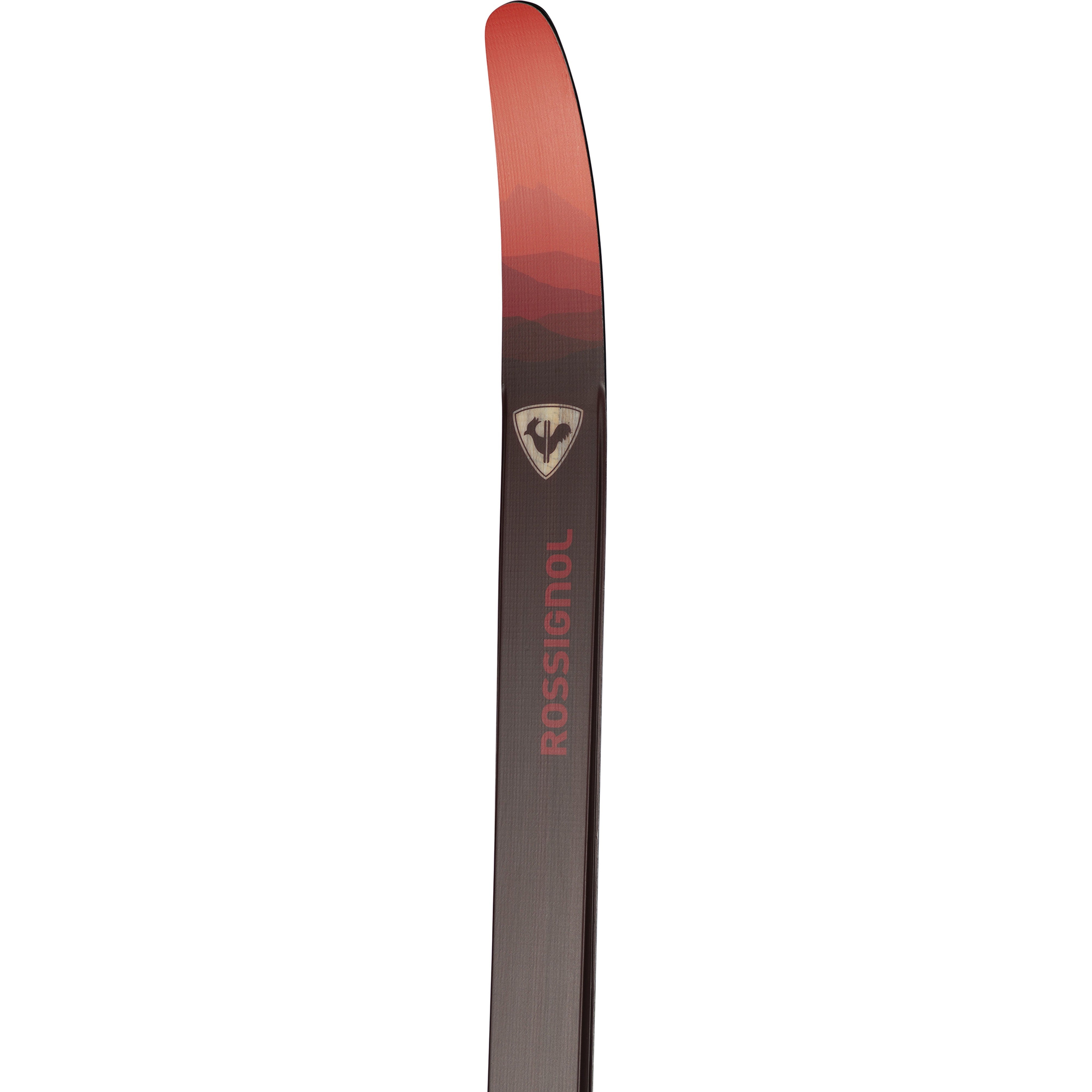 Rossignol EVO XC 55 R SKIN Cross-Country Skis with Control Step-In Bindings 2025 - Perfect for Winter Trails & Backcountry Skiing Adventures
