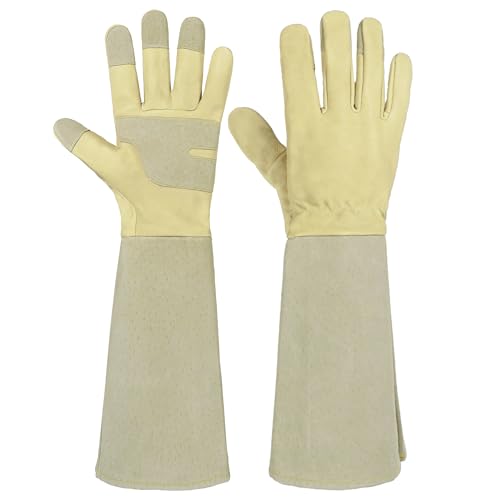 Light Yellow