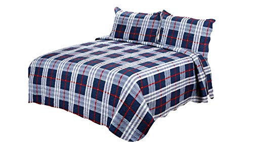 Navy Check