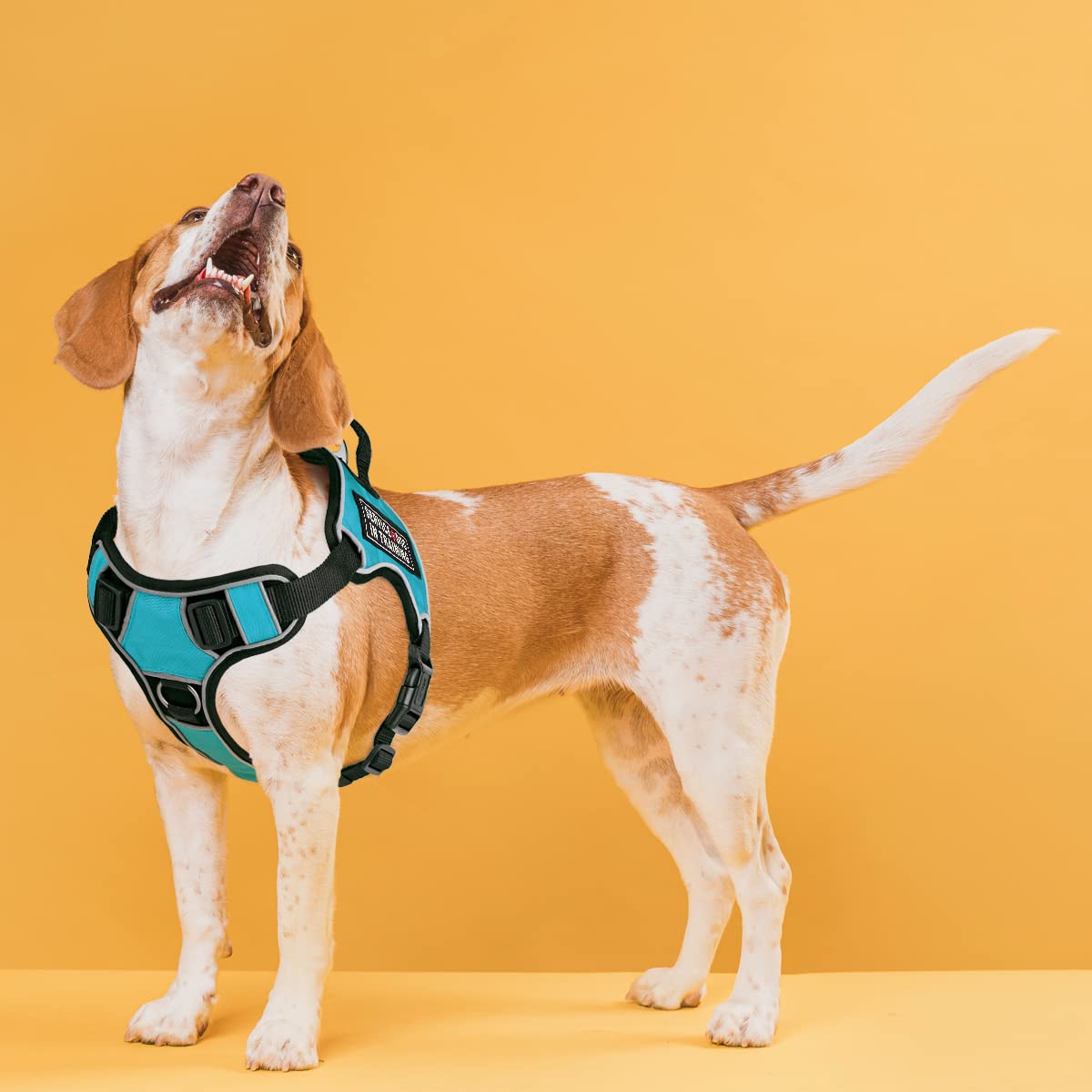 Dogline Quest No-Pull Dog Harness - Adjustable Reflective Vest with Quick Release Buckles & Handle (36-45 inches) - 3D Rubber Service Dog Training Patches - Teal Color - Perfect for Walking, Training & Outdoor Adventures