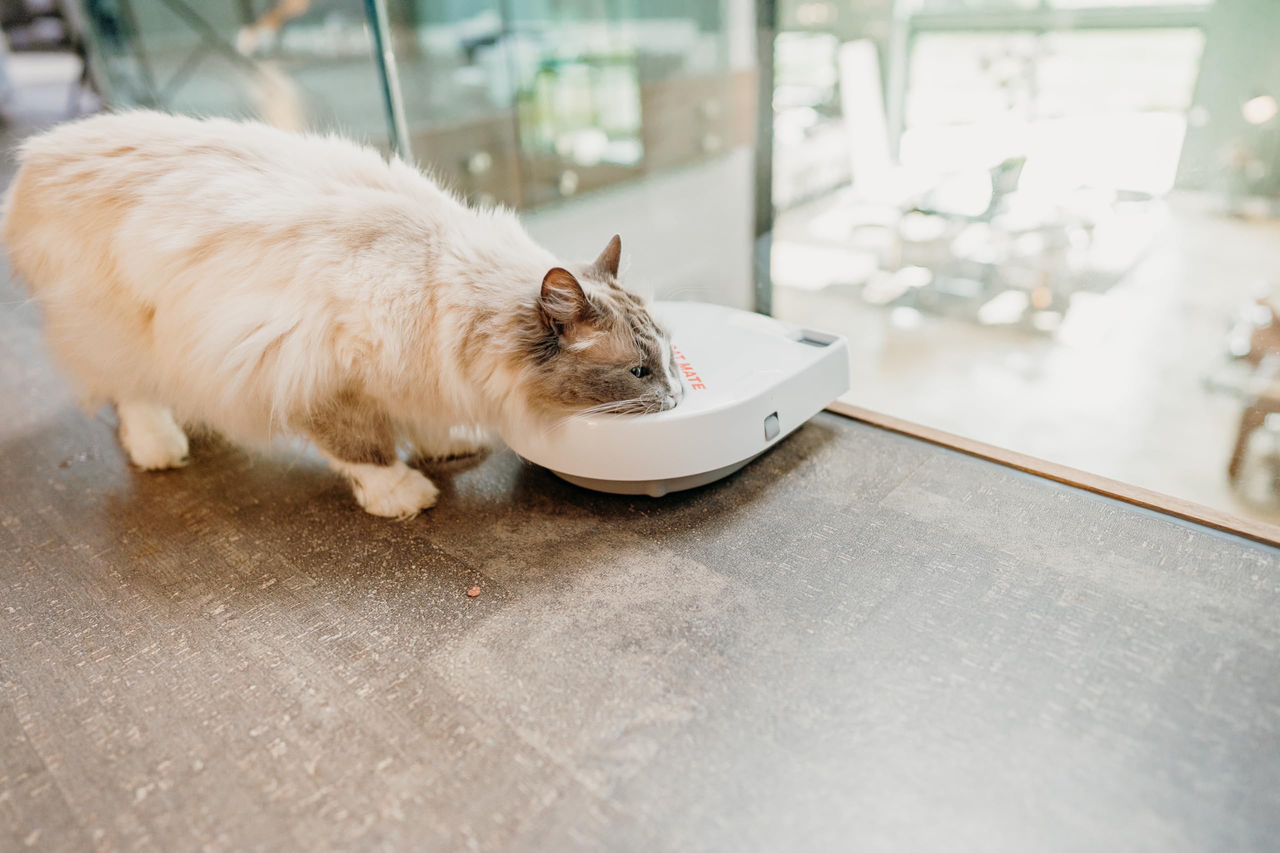 Automatic 3-Meal Pet Feeder with Digital Timer - Perfect for Cats & Small Dogs | Ideal for Vacation, Work Trips & Busy Pet Owners | Keep Your Pets Fed on Schedule