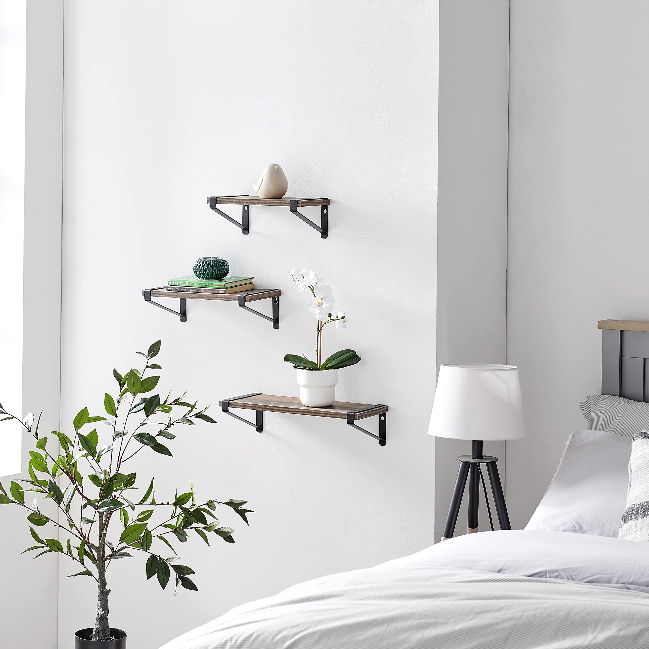 Danya B. Capri Set of 3 Floating Shelves - Wall Mounted Rustic Industrial Wood Wall Shelves with Black Iron Brackets for Bedroom, Living Room, Bathroom, Kitchen, Office - Perfect for Home Decor, Storage & Displaying Photos, Plants & Books