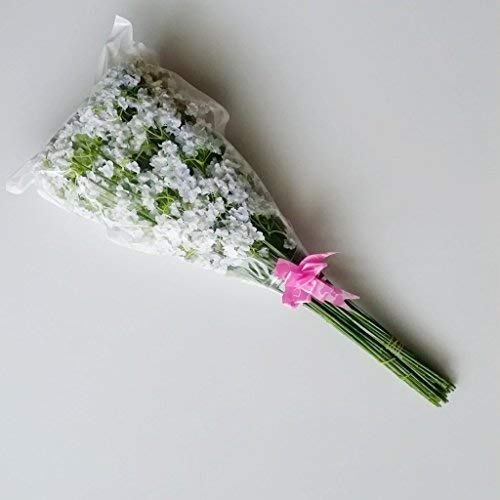Bringsine 20-Pack White Artificial Baby's Breath Flowers - Fake Gypsophila for DIY Wedding Bouquets, Bridal Shower Centerpieces, Party Table Decorations - Perfect for Home, Office, and Event Decor