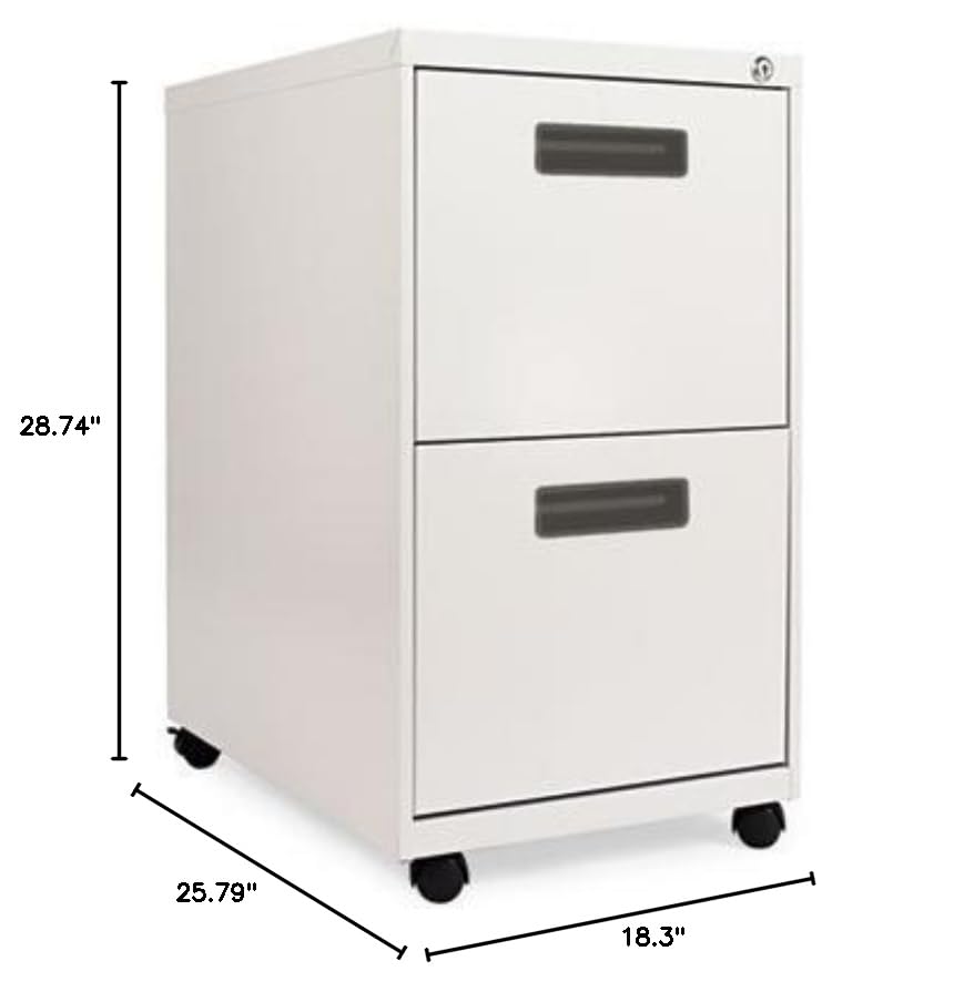 Alera ALEPA542823LG Two-Drawer Mobile File Cabinet - Rolling Office Storage for Documents & Supplies | Perfect for Home Office, Workspace & Business Organization