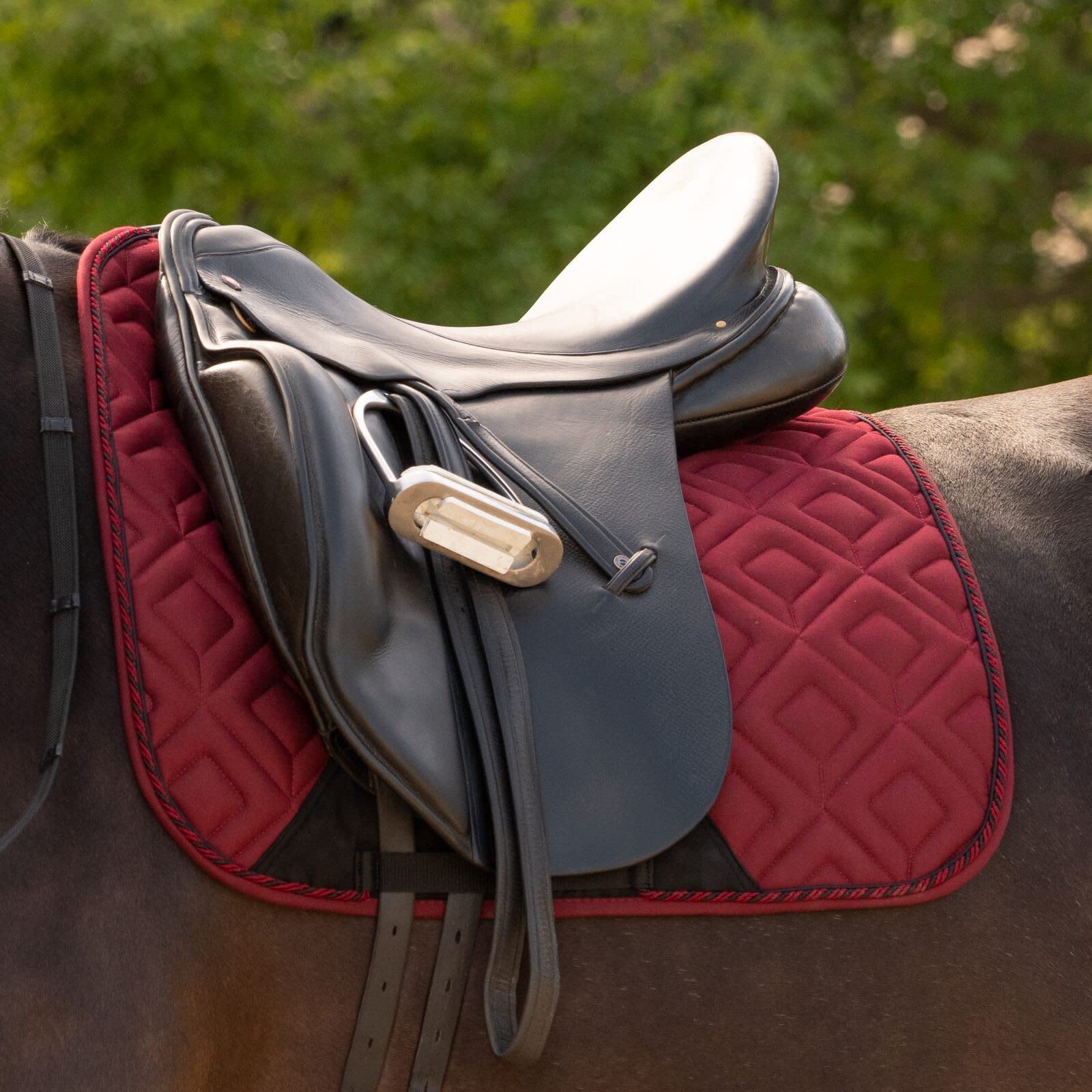 Equinavia Saga Dressage Padded Crank Noseband Horse Bridle with Flash & Reins - Black - Premium Equestrian Gear for Training & Show Jumping
