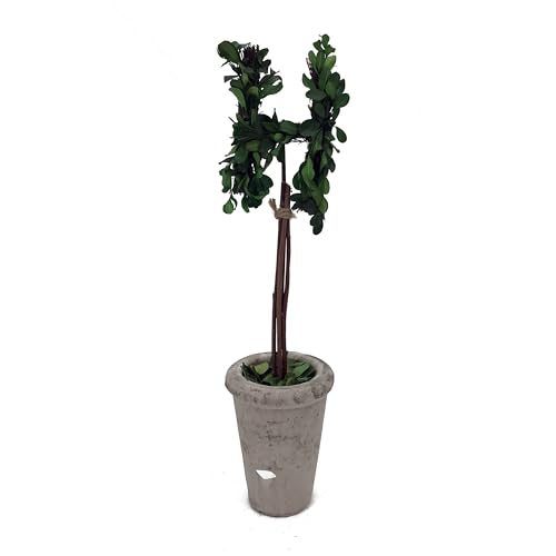 Forest Green H
