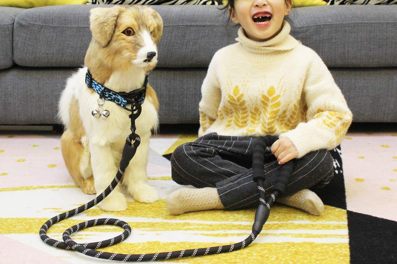 **5 FT Reflective Dog Leash, Adjustable Car Seat Belt & Collapsible Pet Bowl – Gift Set for Walking, Travel, Hiking & Camping – Perfect for Outdoor Adventures & Road Trips (Blue)**