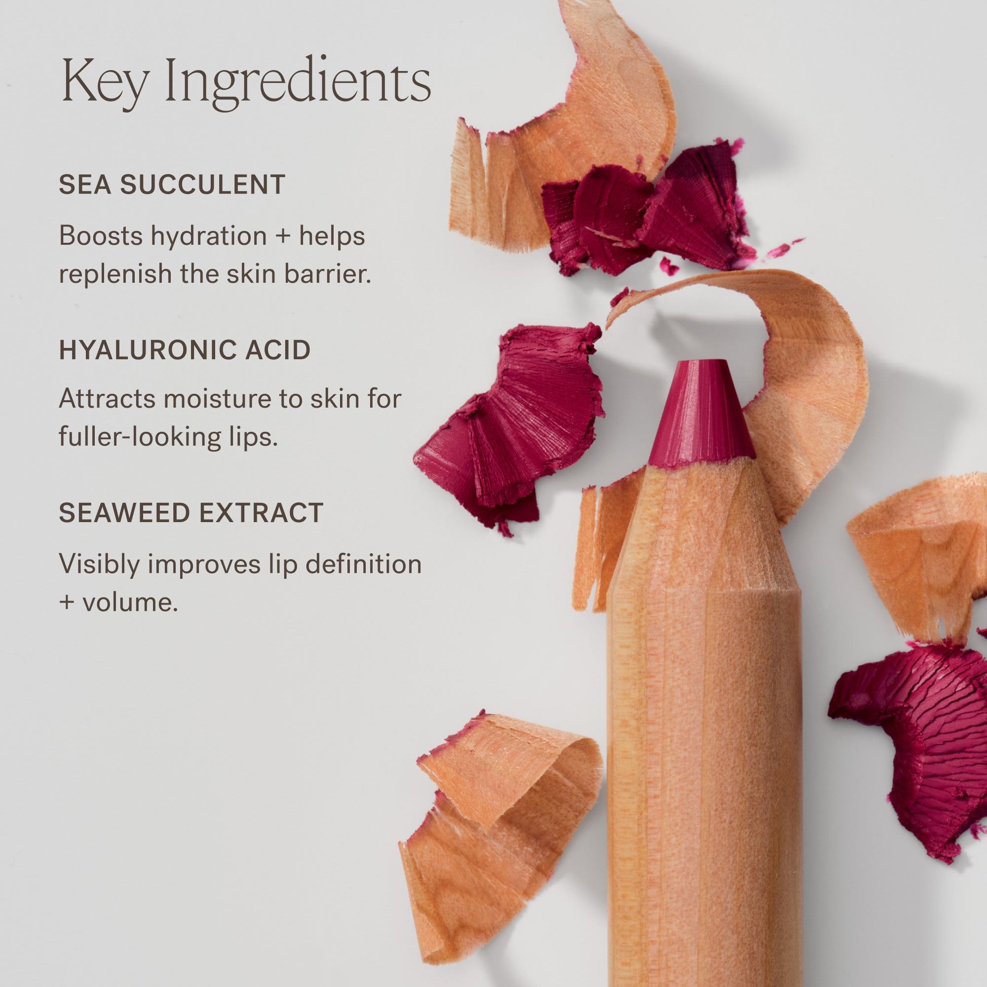 Hydrating Lip Crayon - Long Lasting Moisturizing Lipstick for Dry Lips | Perfect for Everyday Wear, Date Night & Special Occasions