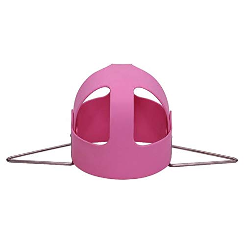 Highback Full Bucket Swing Set for Kids - Pink Outdoor Play Equipment | Fast 3-7 Day Delivery | Perfect for Backyards, Parks & Playgrounds