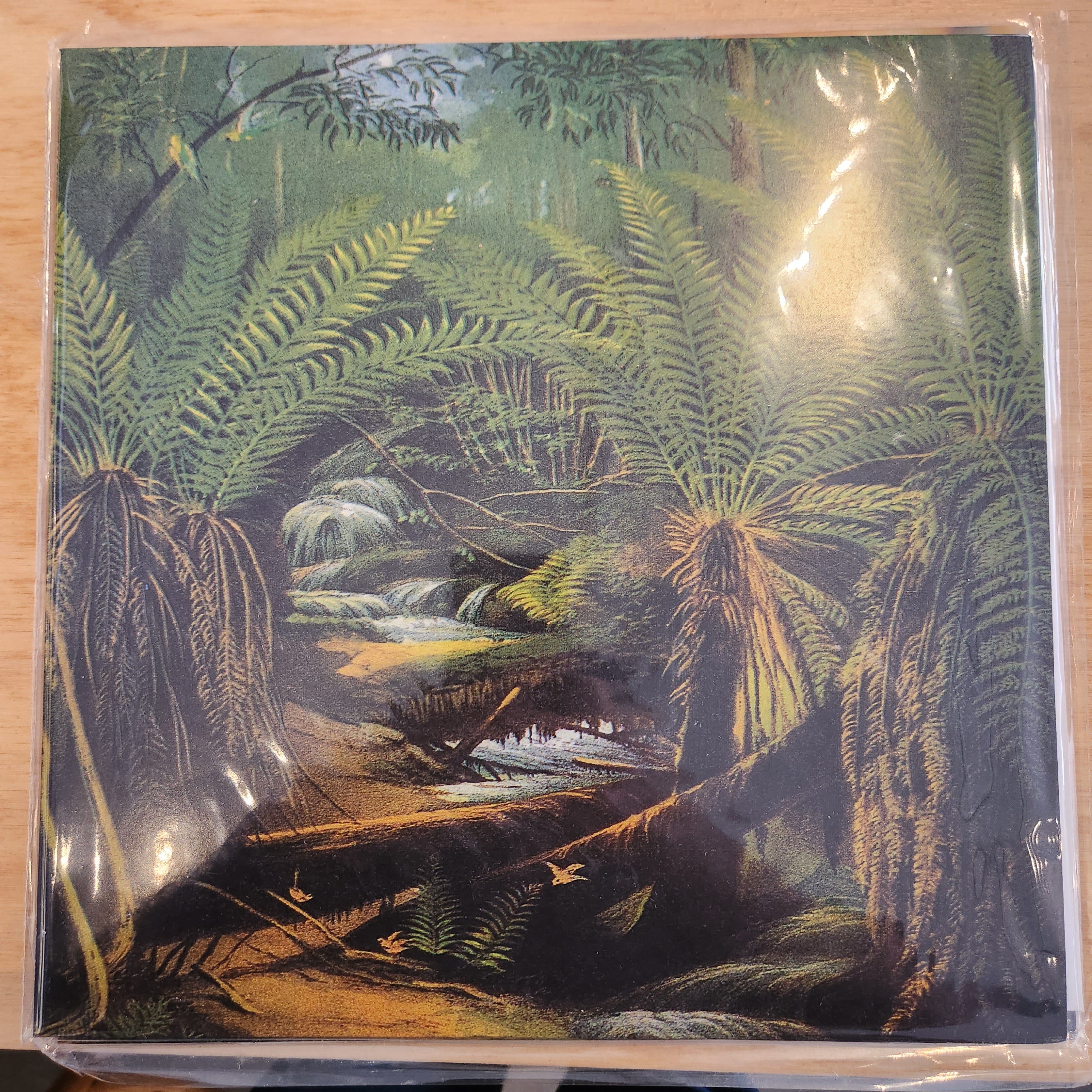 Family Jordan Big Grass Vinyl LP Record - Classic Rock Music Album for Collectors & Audiophiles | Perfect for Home Listening & Gifts